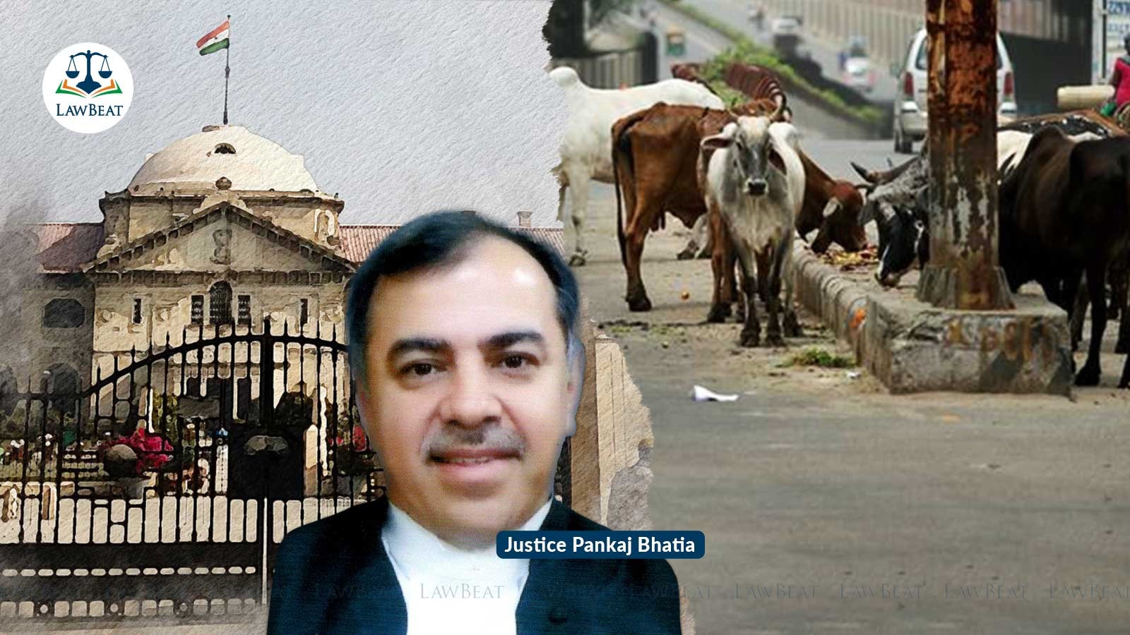 Transportation of Beef Not Restricted by UP Prevention of Cow Slaughter Act 1955: Allahabad High Court Clarifies Transportation of Beef Not Restricted by UP Prevention of Cow Slaughter Act 1955: Allahabad High Court Clarifies